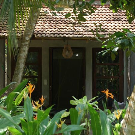 Hotel Dreamtime Hikkaduwa Exteriér fotografie