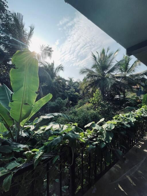 Hotel Dreamtime Hikkaduwa Exteriér fotografie